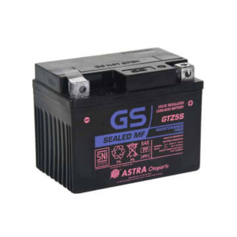 Accu GS GTZ 5