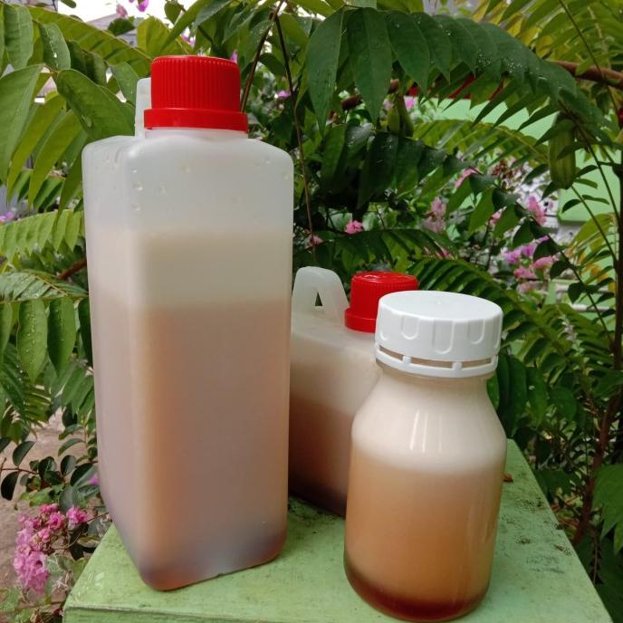 

TERLARIS MADU ALPOKAT SUPER 1KG PENGIRIMAN CEPAT