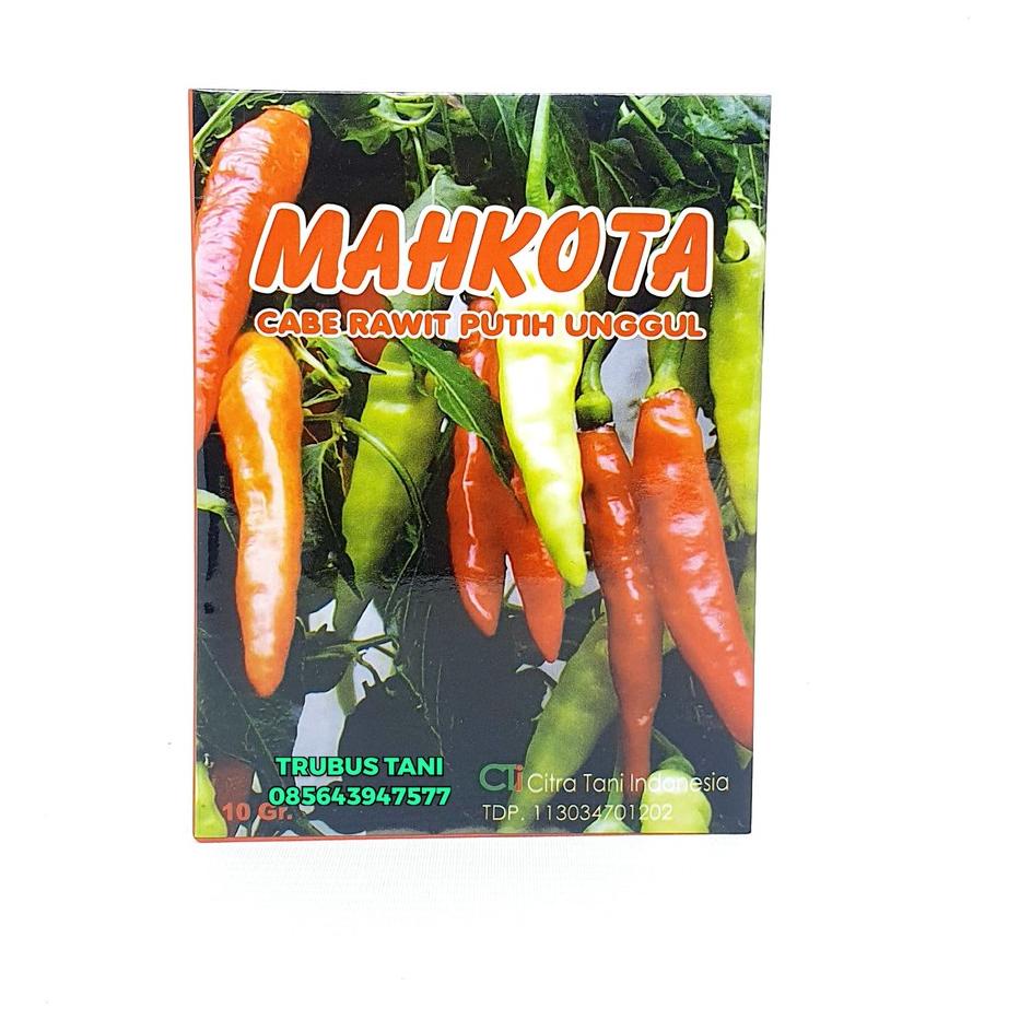 Langsung Dibeli BENIH Cabe Rawit Putih Unggul Mahkota