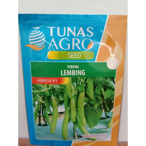 

BENIH TERONG LEMBING 5 GRAM