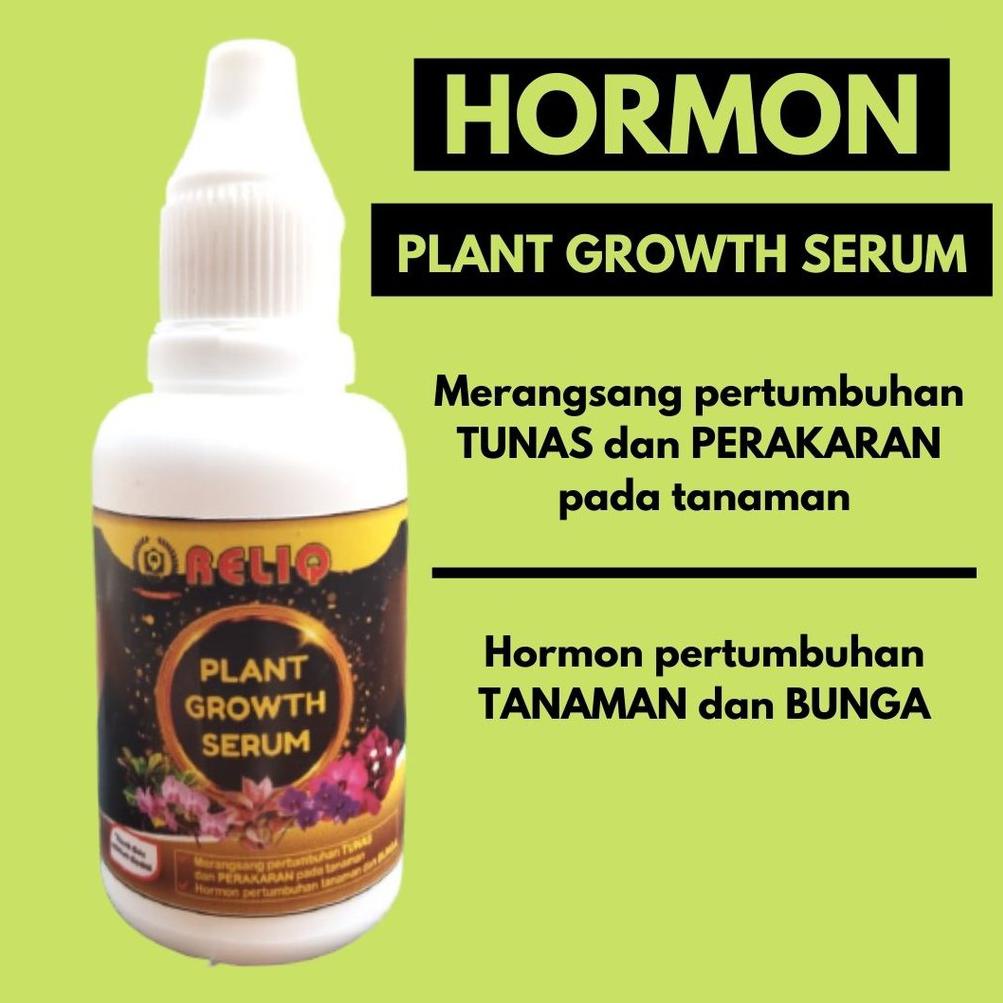 ❀Harga Murah Pupuk Hormon Penumbuh Tunas, Pupuk Bunga Monstera Deliciosa Varigata, Pupuk Daun Janda 
