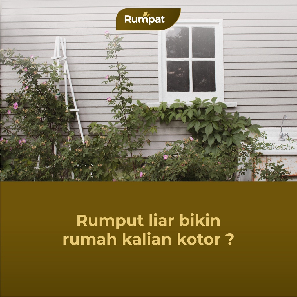 Paket Rumpat 1 Liter Jerigen + 250ML Botol Spray