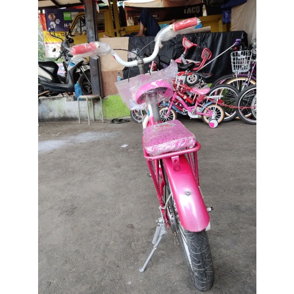 sepeda anak 16 wimcycle strawberry shortcake second mulus