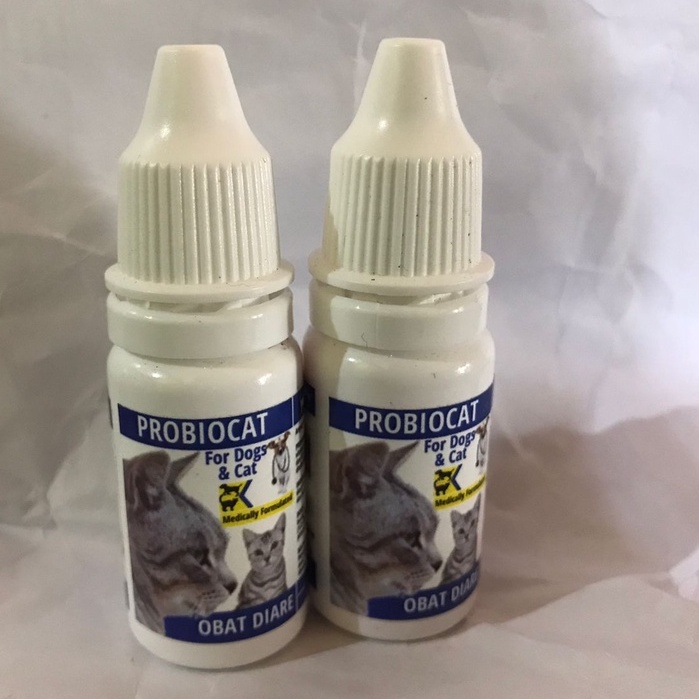 Obat Kucing Mencret Diare Priobiocat Obat Gangguan Pencernaan