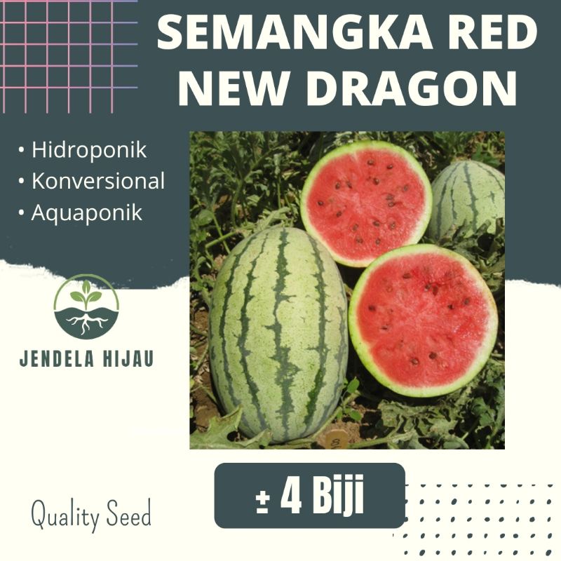 Benih Semangka RED NEW DRAGON - Bibit Tanaman Sayuran Repack.
