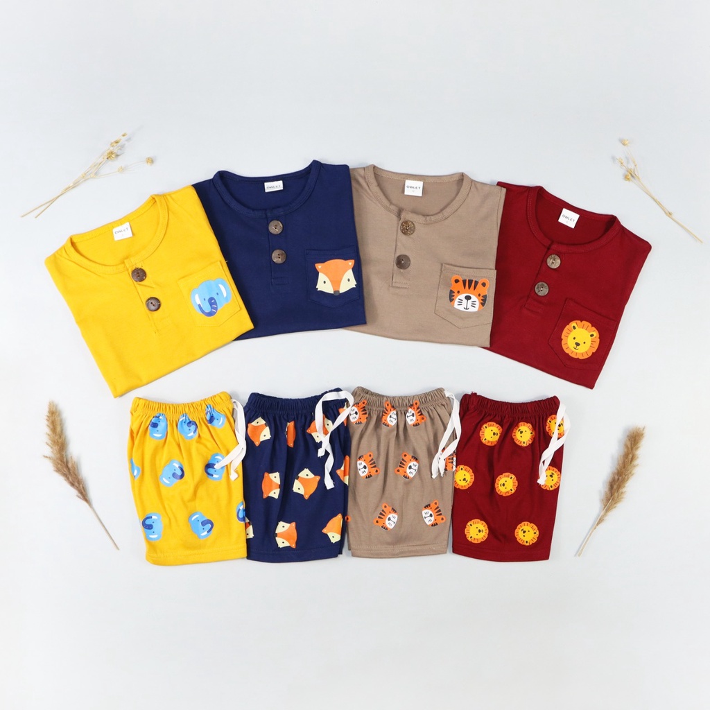Owlet - setelan anak cowok / set anak laki laki / playset anak / set kiano 1-5 thn