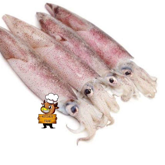 

limited STOCK![ Seafood ] Cumi Segar Size Kecil Kemasan 1 Kg|KD5