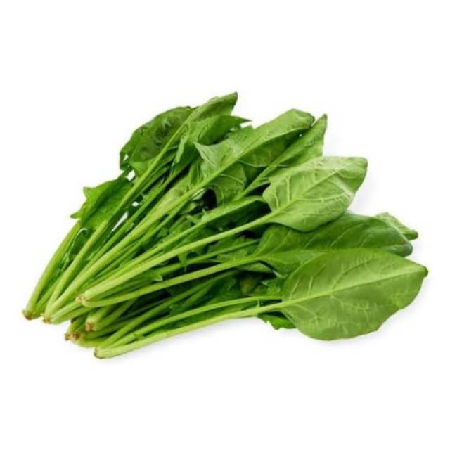 25 Benih Bibit Super Sayur Bayam Jepang F1 Horenso Alrite Tanaman Sayur Unggul