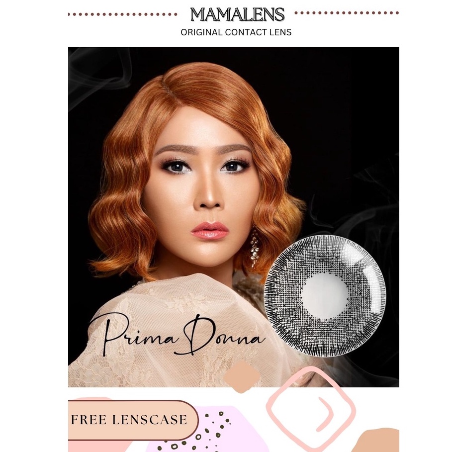 Softlens X2 Fame Normal &amp; Minus -0.50 sd -3.00 Free Lenscase - MAMALENS