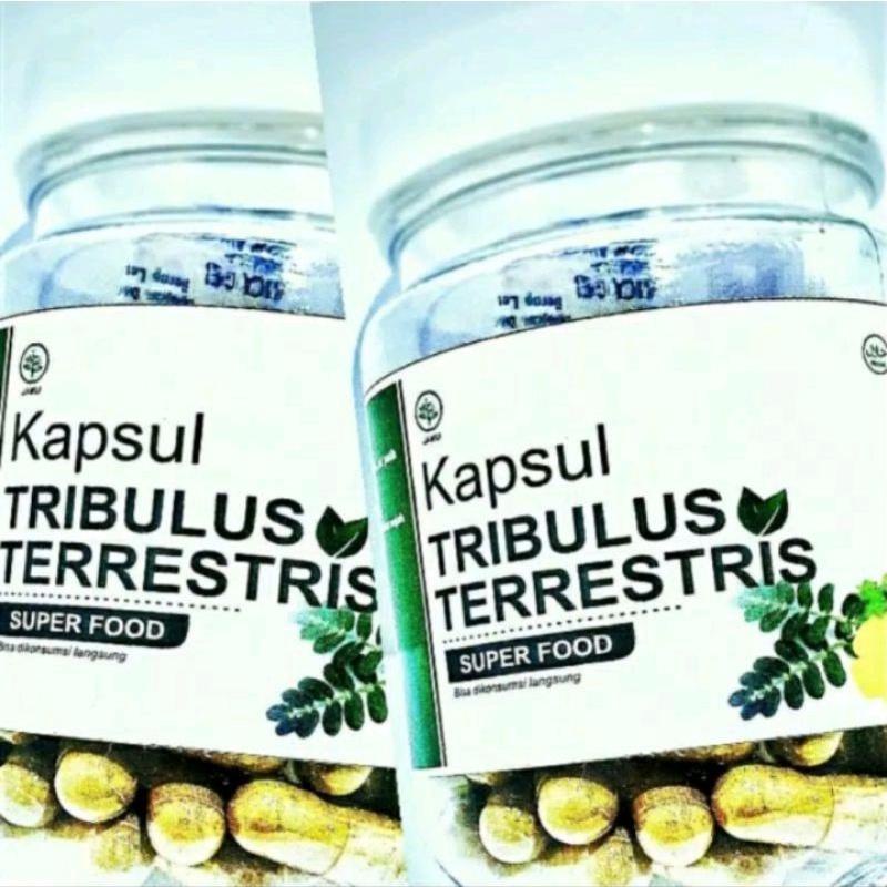 

Trib Privasi Best Seller