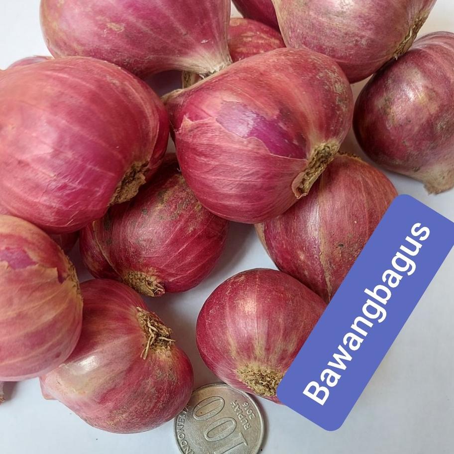 

GRATIS ONGKIR✅Bawang Merah/Bawang Brebes/Bawang Merah Super Besar 500gr|SQ8