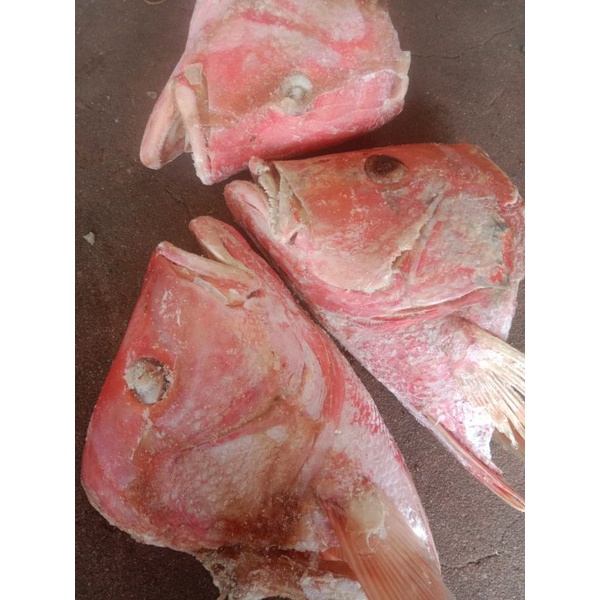 

kepala kakap merah
