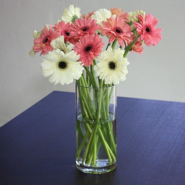 Bunga Fresh Cut Gerbera Flower/ Bunga Gerbera Potong Segar Isi 10 Tangkai