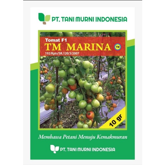 Benih Tomat TM MARINA Isi 5 gram