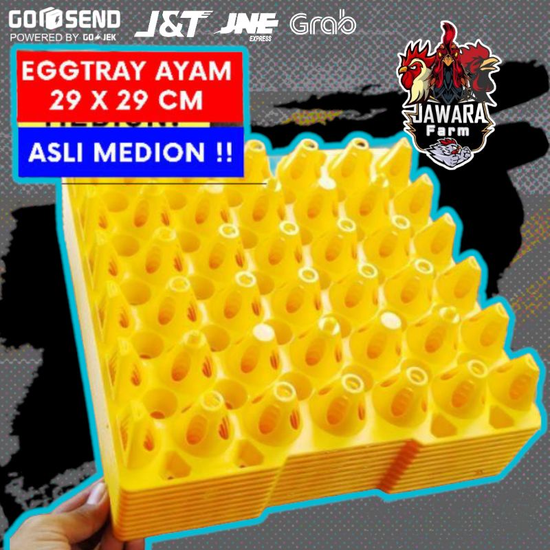 Tempat Telur - Egg Tray Ayam Medion 30 Butir GRADE A