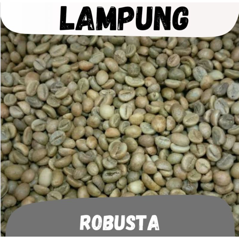 green Bean ( biji kopi mentah ) Robusta Lampung