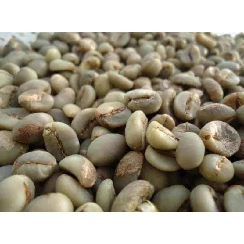 

Kopi mentah