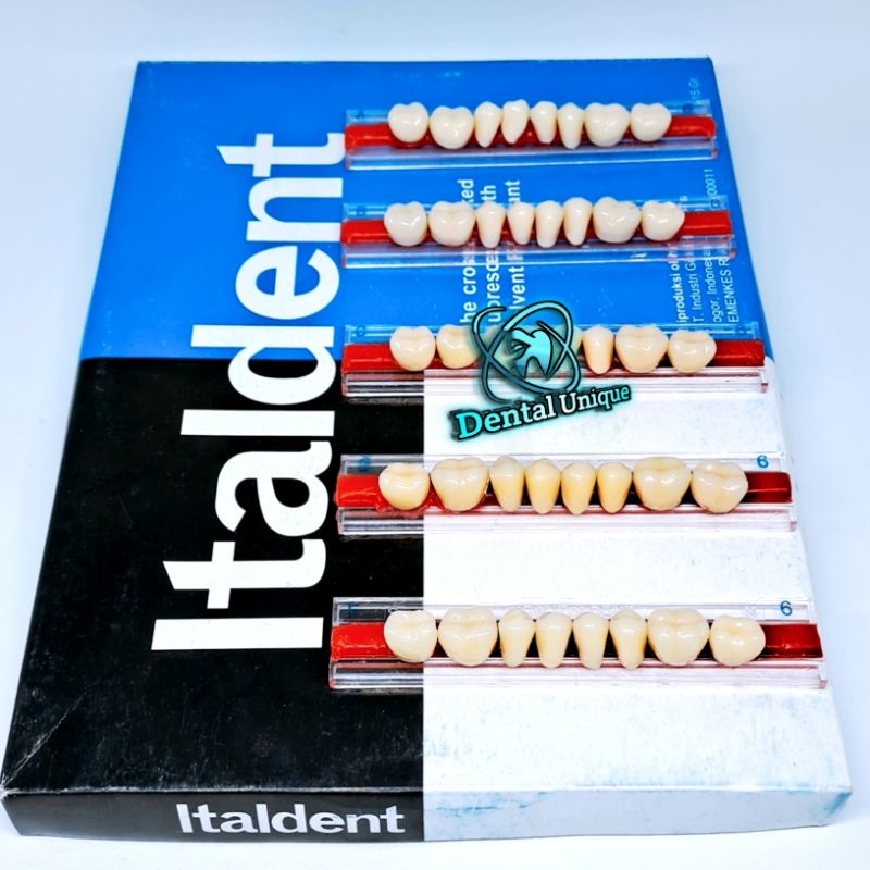 Gigi Palsu Italden Geraham Bawah