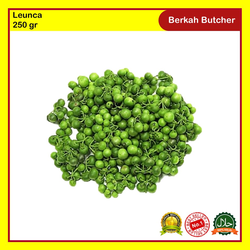 Leunca Segar 250 gr Berkah Butcher