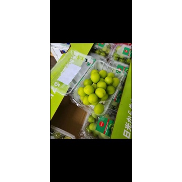 

anggur shine muscat jelly
