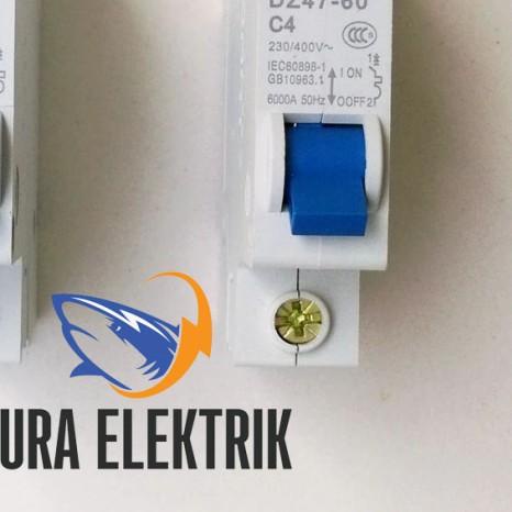 MCB Chint DZ47-60 1P 2A 4A 6A 10A 32A SALE - 4A