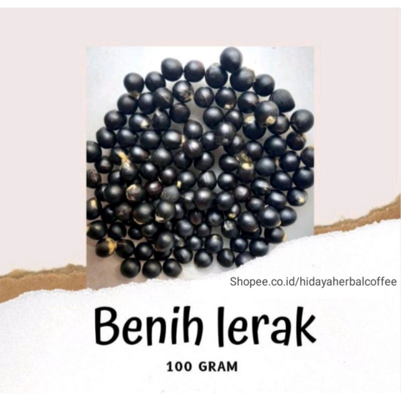 Jual Benih Biji Lerak Klerek Gr Shopee Indonesia