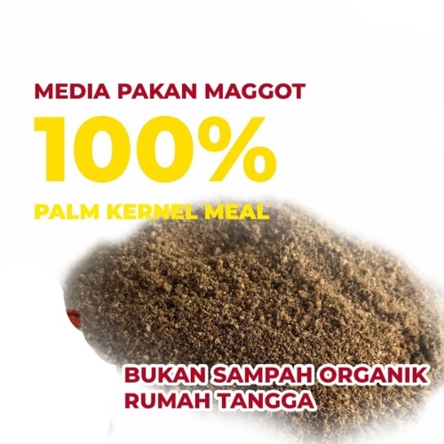 Maggot Larva BSF Kering 50gr Magot Makanan Ikan Hias Arwana Koi Louhan