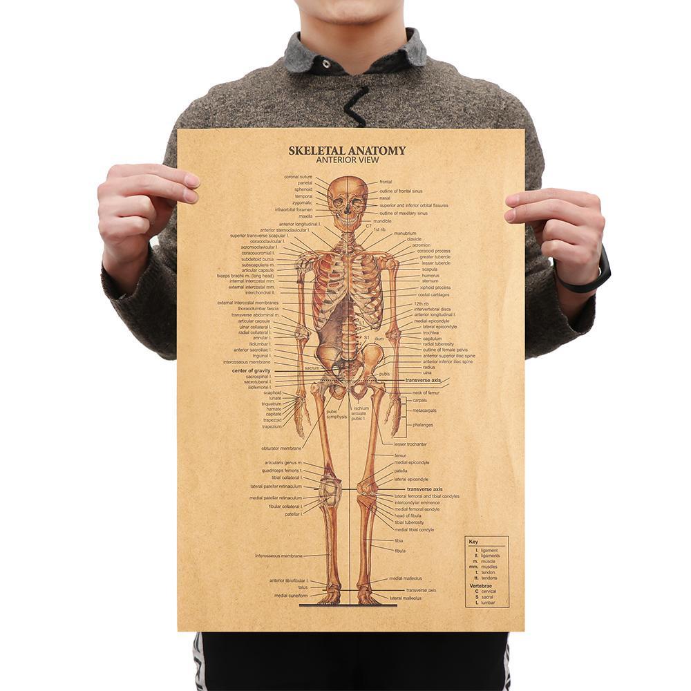 Populer 1pc The Skeleton System DIY Dekorasi Rumah Mural Retro Poster