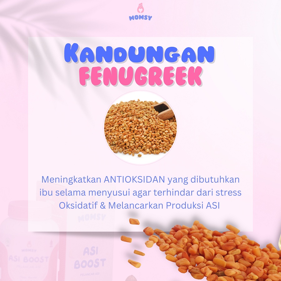 Asi Booster Pelancar Asi MOMSY - 4 Momsy PREMIUM SHOPPING OFFICIAL STORE SHOP