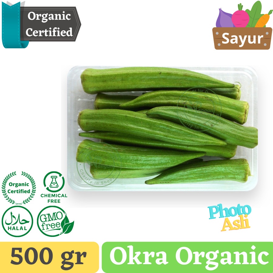 

Okra Hijau , Bendi , lady's fingers , Gumbo