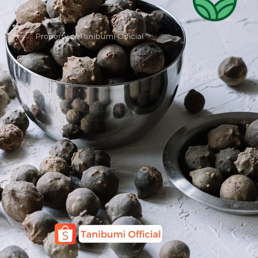 

Grosiran Murah Termurah Buah Manjakani | 1kg | Hijau & Putih | Biji Majakani Premium Grade A buruan