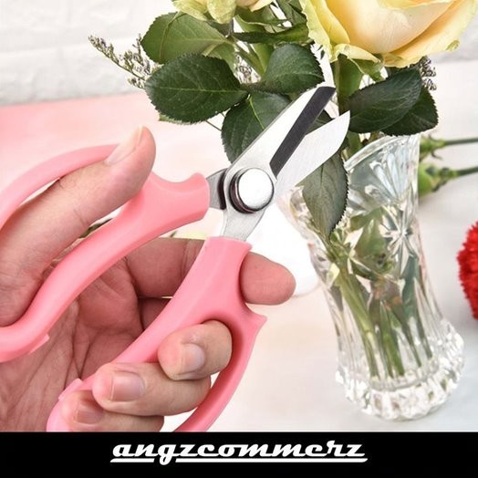 

Bagus Gunting Ranting Daun Tanaman Korea Florist Scissors Sale!!!