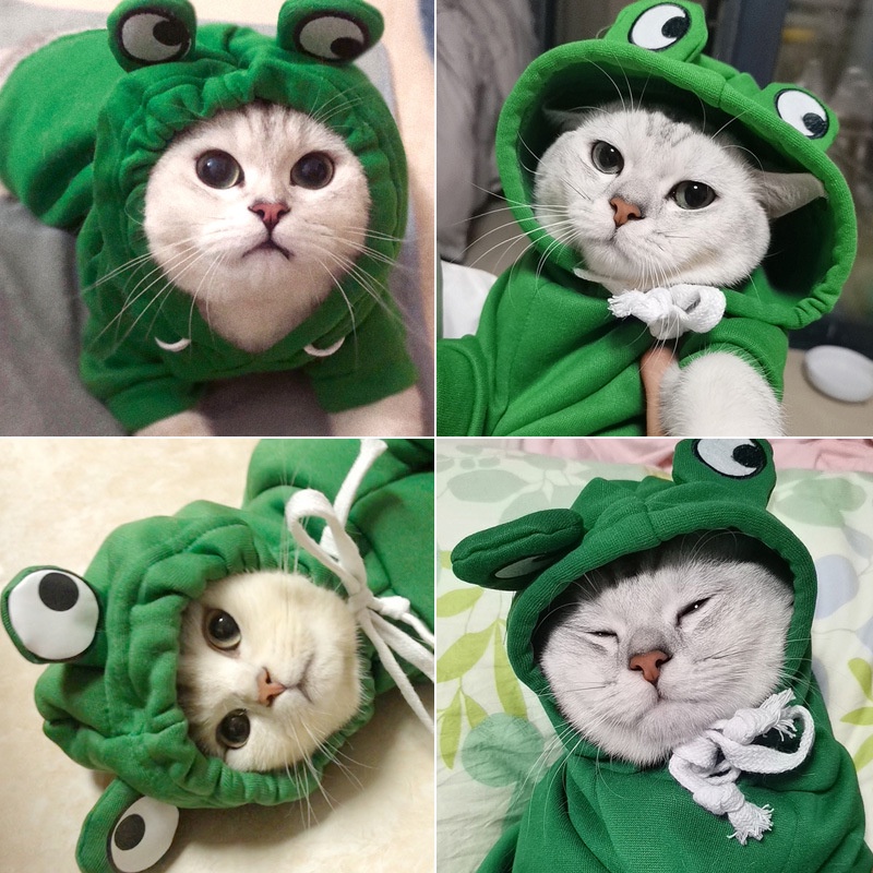 Sweater hoodie kucing/anjing lucu model buah dan hewan