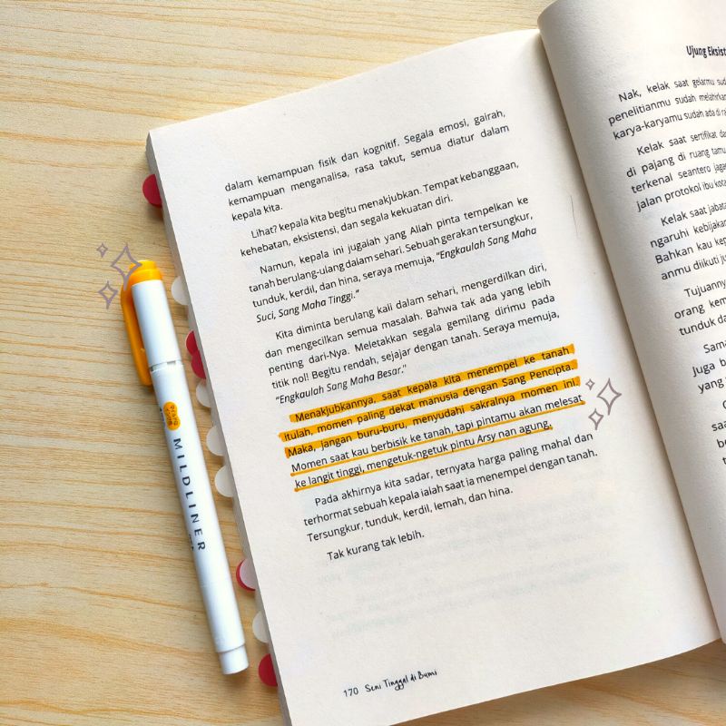 

Mildliner/Pen Highlighter
