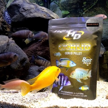[PAKAN CICHLID] Pelet Ikan HD CICHLID sinking (tenggelam) 100 gr