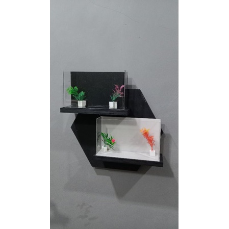 PAKET Rak Dinding Gantung + Akuarium Mini Cupang, Akuarium Baby Chana, Akurium Akrilik, Gratis Tanam