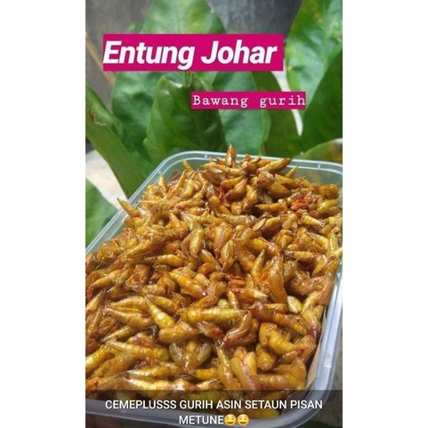

Stock Terbatas ! Enthung Pohon Johar Goreng Gurih