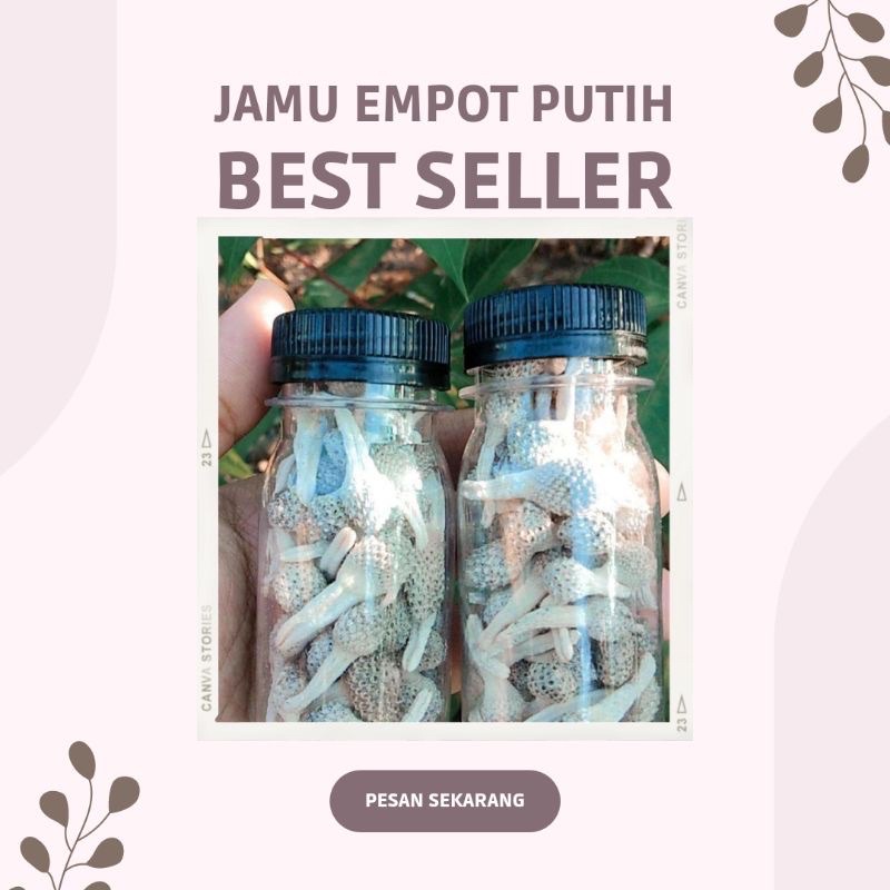 

Mpot Putih Qualitas super by.Fz