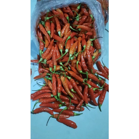 

Cabai Rawit Merah cabai setan 1 kg