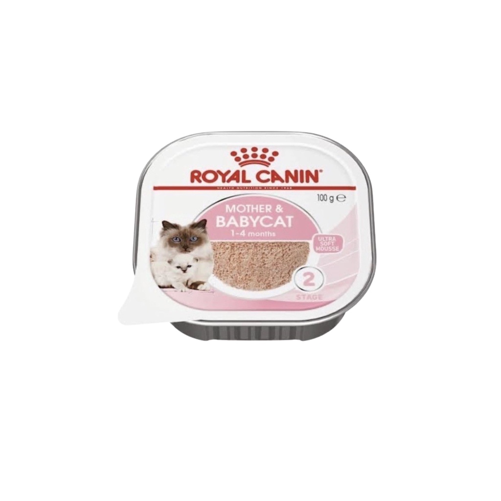 Royal Canin Mother &amp; Baby Cat Basah - Makanan Ibu &amp; Anak Kucing 100gr