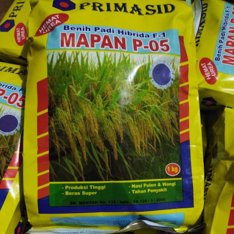 padi MAPAN 05 original pabrik 1000%