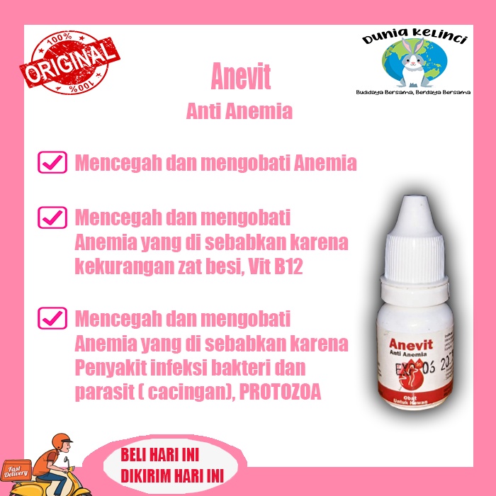 ANEVIT ANTI ANEMIA Obat Anemia Kurang Darah Kucing Anjing