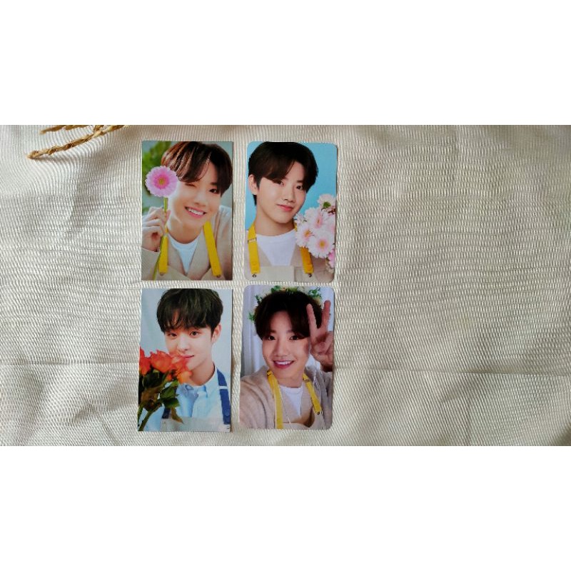 (READY) Photocard TREASURE - Blooming Treasure