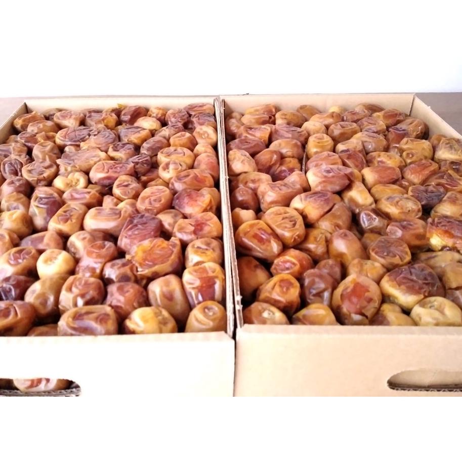 

FREE ONGKIR!Kurma Sukari 1 Kg Kurma Sukari Basah TANPA CAMPURAN|KD5