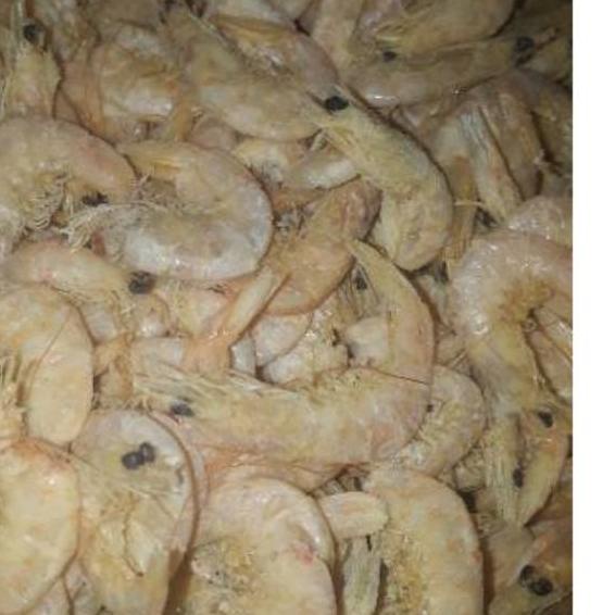 

BAYAR DITEMPAT✔️Udang Manis Medan 250gram|RA6