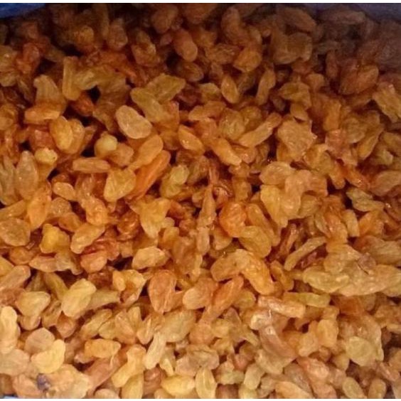 

COD✔️Kismis golden Raisin 1kg / Kismis Asam Manis / oleholeh haji umrah|SQ3