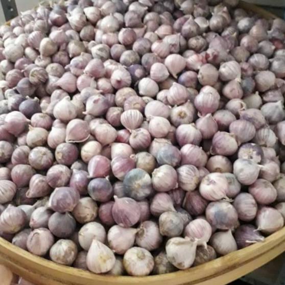 

EXCLUSIVE!Bawang putih tunggal 1kg BESAR import|RA6