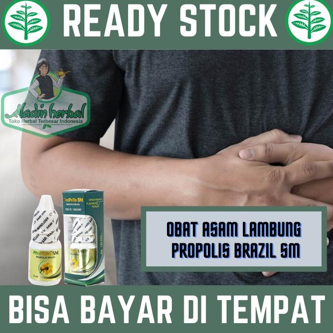 Obat Maagh & Asam Lambung - Tukak Lambung, Magh, Nyeri Ulu Hati, Sesak Nafas Liver - Propolis Sm Ori