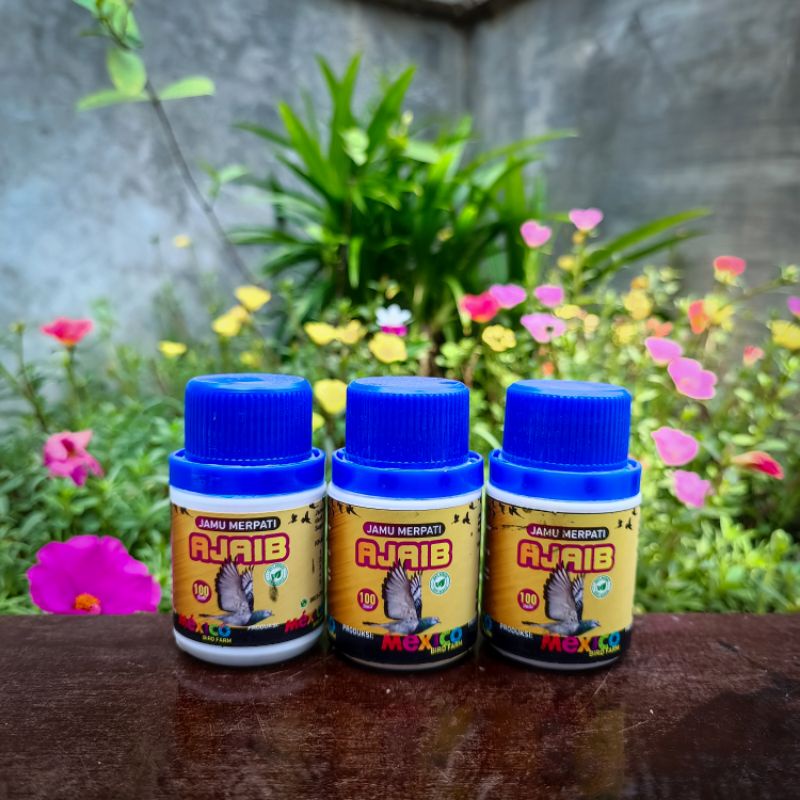 jamu merpati ajaib mexico jamu ajaib mexico meksiko perawtan kesehatan merpati balap lomba keket tin