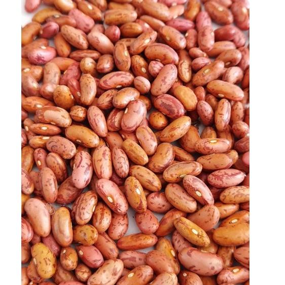 

Modis.. Kacang Merah Brenebon Kacang Es CMM